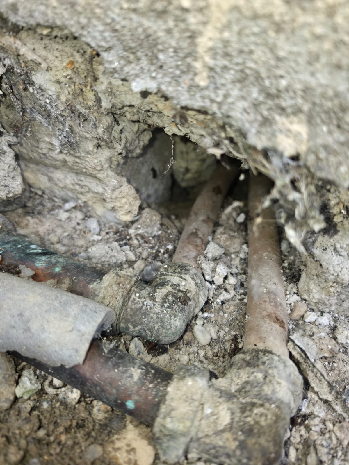 A gap in the external wall around service pipes, a common entry point rodents use to get into a home